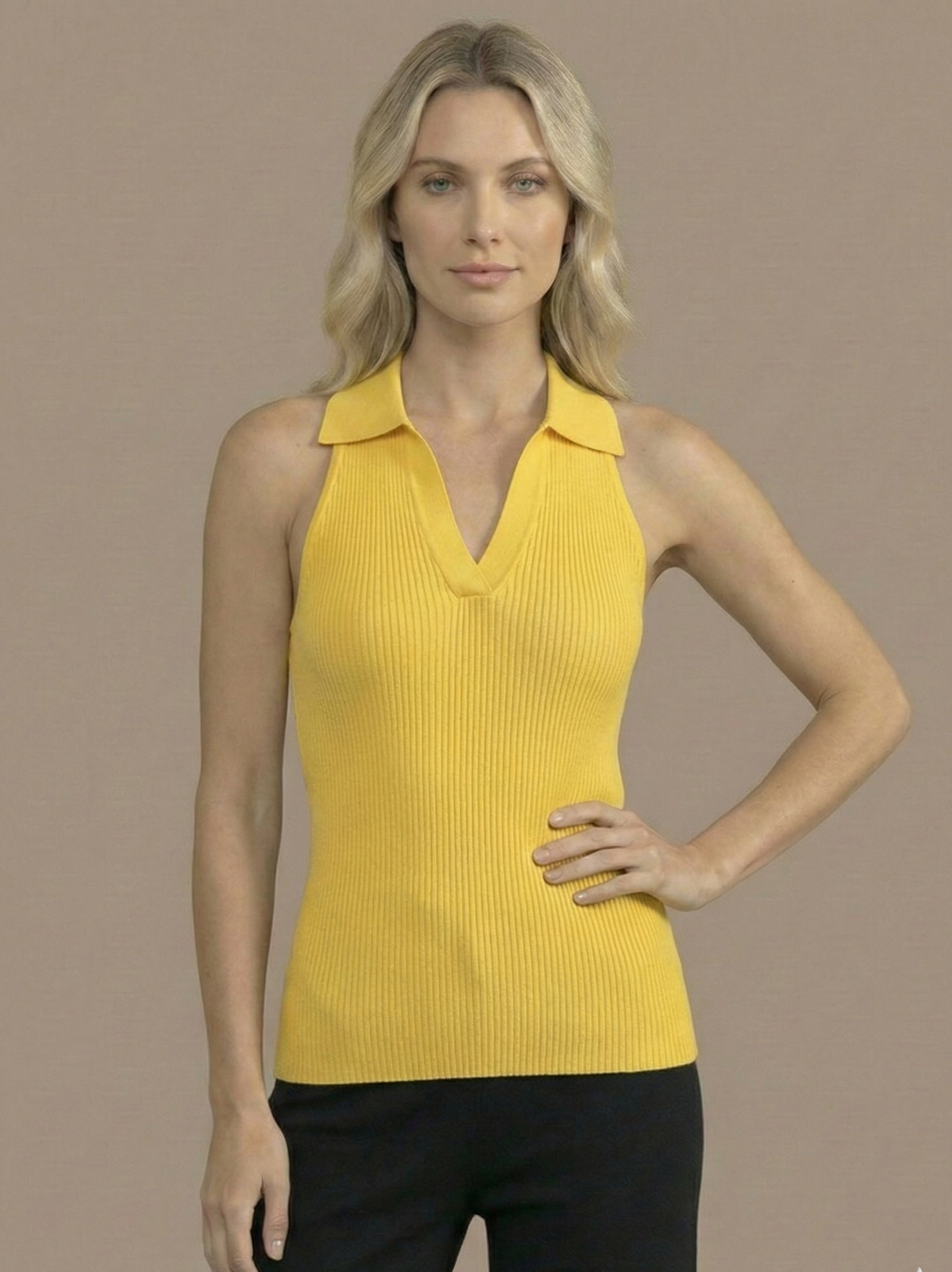Stella V-Neck Ribbed Top