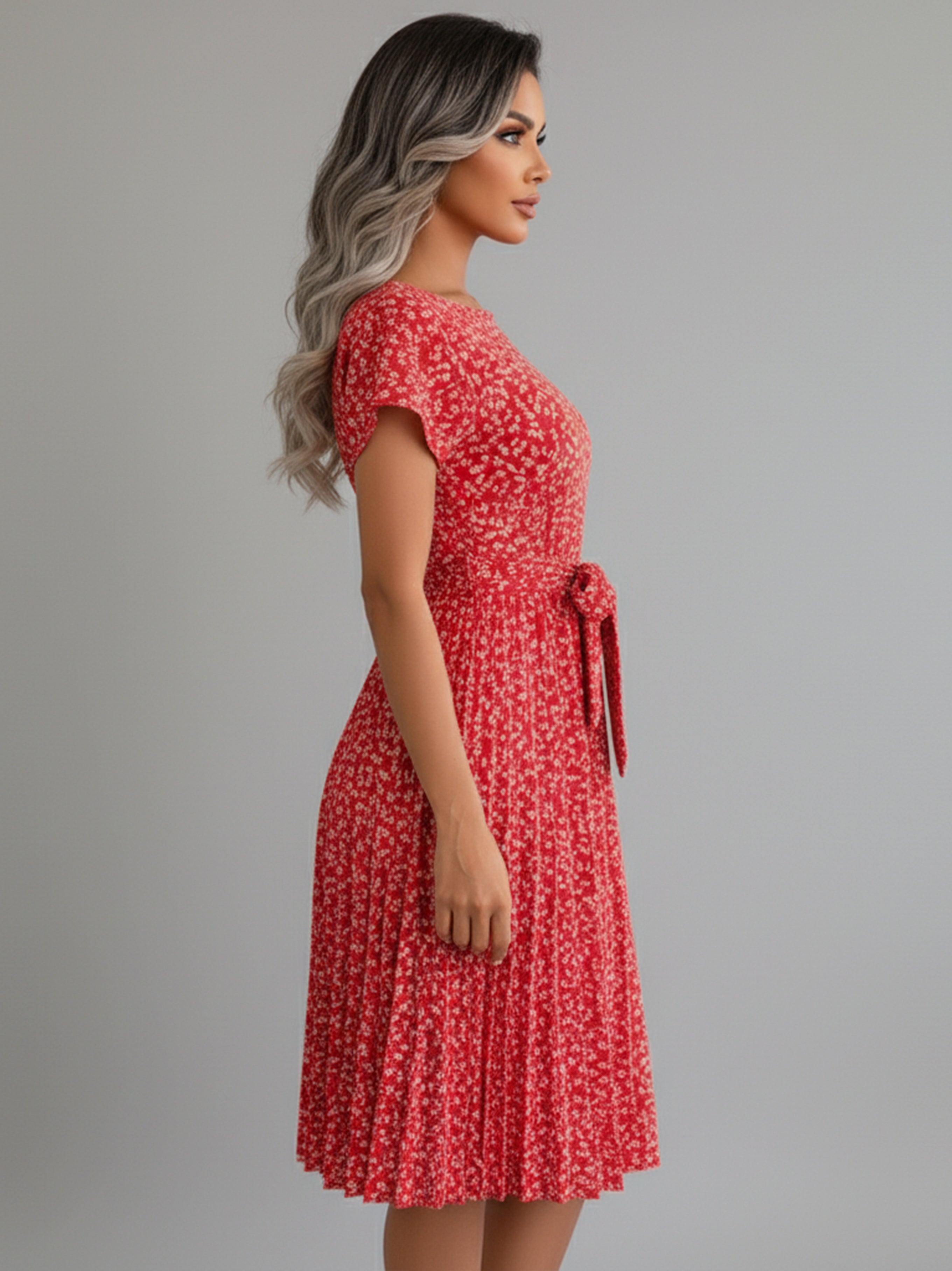 Mya Stylish Dress